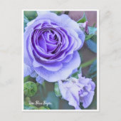Carte Postale Rosa Blue Bajou (Devant)