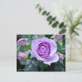 Carte Postale Rosa Blue Bajou [Carte postale] (Debout devant)