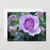 Carte Postale Rosa Blue Bajou [Carte postale] (Devant / Derrière)