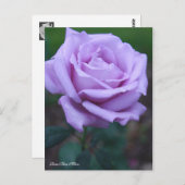 Carte Postale Rosa Blue Moon [Postcard] (Devant / Derrière)