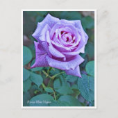 Carte Postale Rosa Blue Vague (Devant)