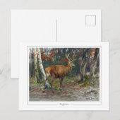 Carte Postale Rosa Bonheur #135 - Beaux-arts (Devant / Derrière)