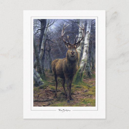 Carte Postale Rosa Bonheur #5 - Art (Devant)