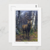 Carte Postale Rosa Bonheur #5 - Beaux-arts (Devant / Derrière)