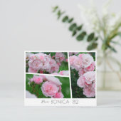 Carte Postale  Rosa Bonica '82 (Debout devant)