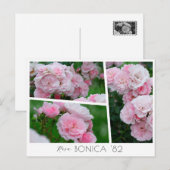 Carte Postale  Rosa Bonica '82 (Devant / Derrière)