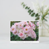 Carte Postale Rosa Cerezo (Debout devant)