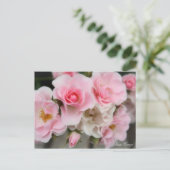 Carte Postale Rosa Cerezo (Debout devant)