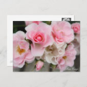 Carte Postale Rosa Cerezo (Devant / Derrière)