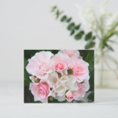 Carte Postale Rosa Cerezo [Carte postale] (Debout devant)