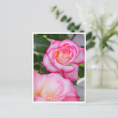 Carte Postale Rosa Climbing Minuette (Debout devant)