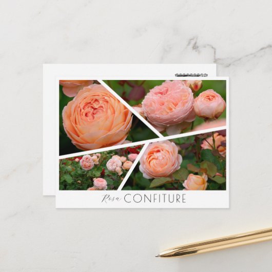 Carte Postale Rosa Confiture (Devant/Arrière en situation)