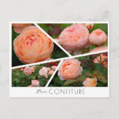 Carte Postale Rosa Confiture (Devant)