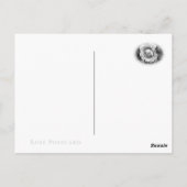 Carte Postale Rosa Crocus Rose (Dos)