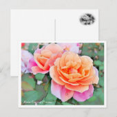 Carte Postale Rosa Distant Drums (Devant / Derrière)