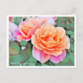 Carte Postale Rosa Distant Drums (Devant)