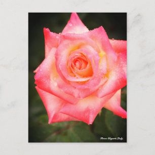 Carte Postale Rosa Elegant Lady