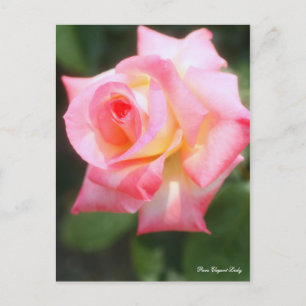 Carte Postale Rosa Elegant Lady [Carte postale]