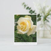 Carte Postale Rosa Elina (Debout devant)