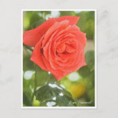 Carte Postale Rosa Emanuel (Devant)