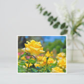 Carte Postale Rosa Emblem (Debout devant)