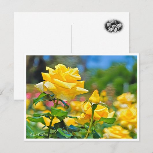 Carte Postale Rosa Emblem (Devant / Derrière)