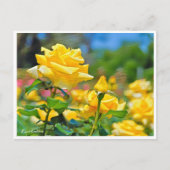 Carte Postale Rosa Emblem (Devant)