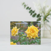 Carte Postale Rosa Emblem (Debout devant)