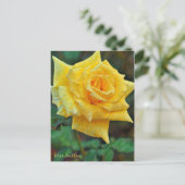 Carte Postale Rosa Emblem [Postcard] (Debout devant)
