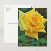 Carte Postale Rosa Emblem [Postcard] (Devant / Derrière)