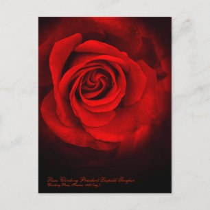 Carte Postale Rosa Escalade Président Léopold Senghor