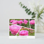 Carte Postale Rosa Finesse (Debout devant)