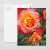 Carte Postale Rosa Fruite [Carte postale] (Devant / Derrière)