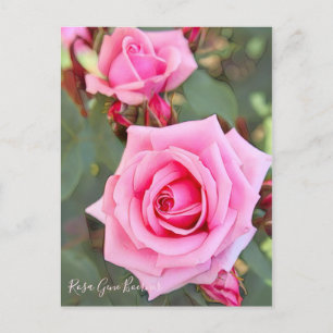 Carte Postale Rosa Gene Boerner [Carte postale]