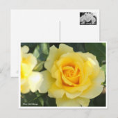 Carte Postale Rosa Gold Bunny (Devant / Derrière)