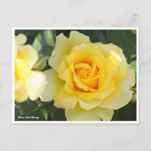 Carte Postale Rosa Gold Bunny