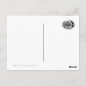 Carte Postale Rosa Graham Tomas (Dos)