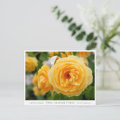 Carte Postale Rosa Graham Tomas (Debout devant)