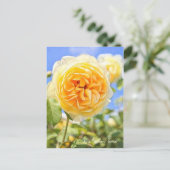 Carte Postale Rosa Graham Tomas [Carte postale] (Debout devant)