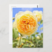 Carte Postale Rosa Graham Tomas [Carte postale] (Devant / Derrière)