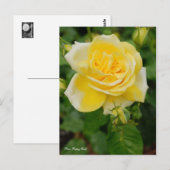 Carte Postale Rosa Happy Child [Carte postale] (Devant / Derrière)