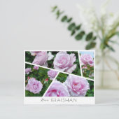 Carte Postale Rosa Ieraishan (Debout devant)
