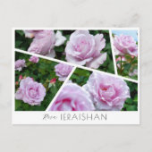 Carte Postale Rosa Ieraishan (Devant)