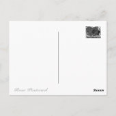 Carte Postale Rosa Ingrid Bergman (Dos)