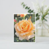 Carte Postale Rosa‘Manyo’(万 葉) (Debout devant)