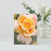 Carte Postale Rosa "Manyo" [Carte postale] (Debout devant)