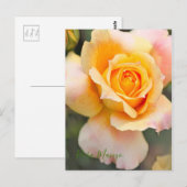 Carte Postale Rosa "Manyo" [Carte postale] (Devant / Derrière)