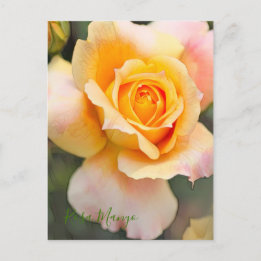Carte Postale Rosa "Manyo" [Carte postale]
