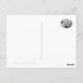 Carte Postale Rosa Mrs. Iris Clow (Dos)