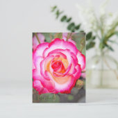 Carte Postale Rosa Nicole [Carte postale] (Debout devant)